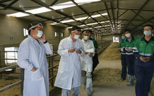 種鴨養殖(損失)查勘現場