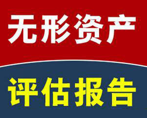 明信價格評估公司的無形資產評估服務項目有哪些？